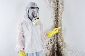 Best Forensic Mold Investigation  in Killen, AL